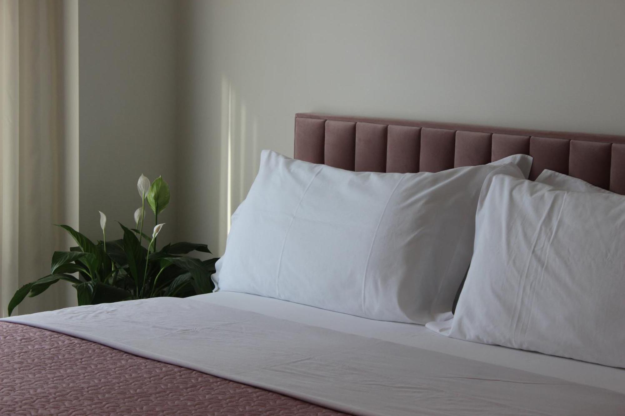 Delight Apartment Tirana Exteriér fotografie